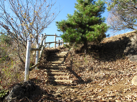 20151127hike (165)
